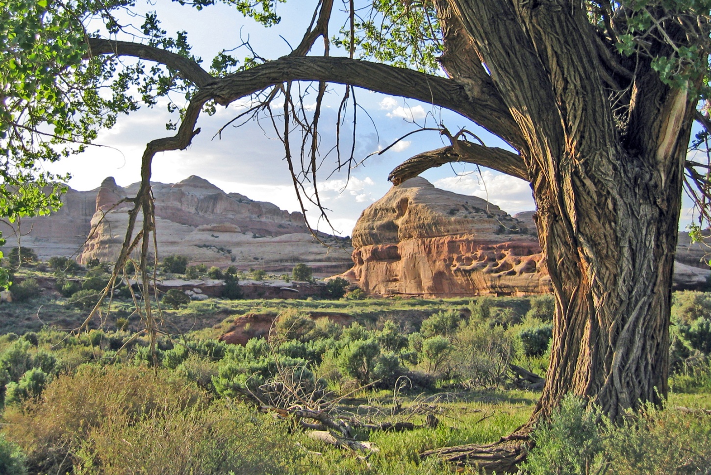 Canyons Nature Ambience Sound Effects recordings