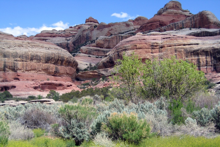 Canyons Nature Ambience Sound Effects recordings