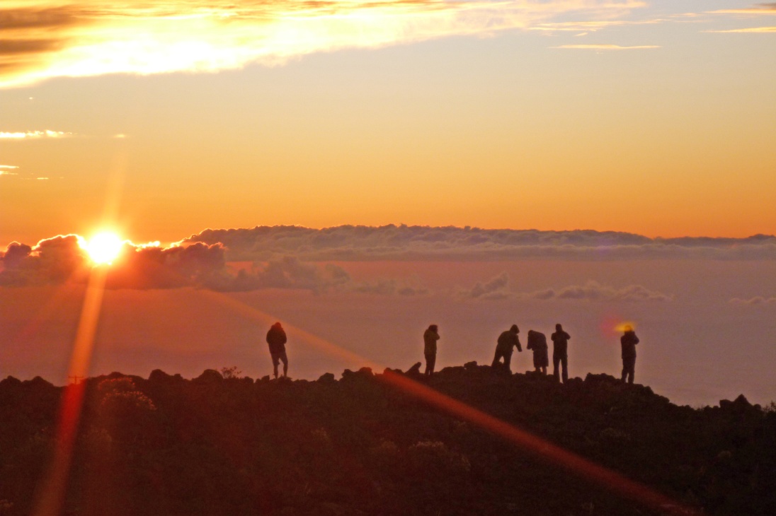 HAWAII | Nature Sounds Library