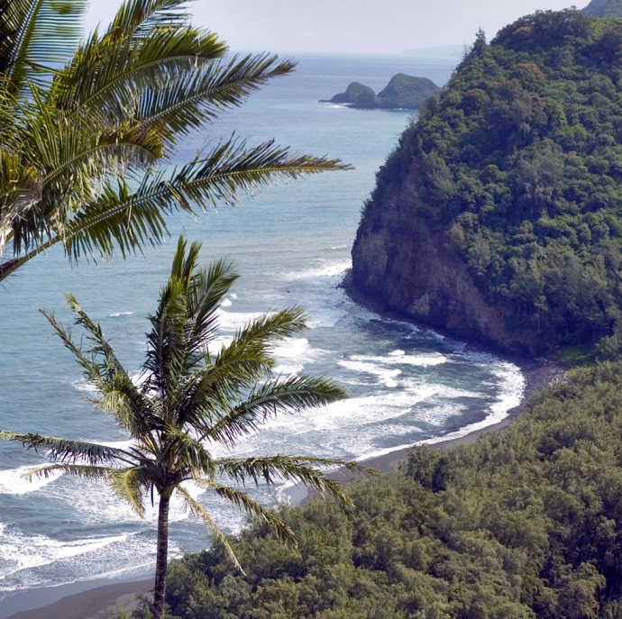 HAWAII | Nature Sounds Library