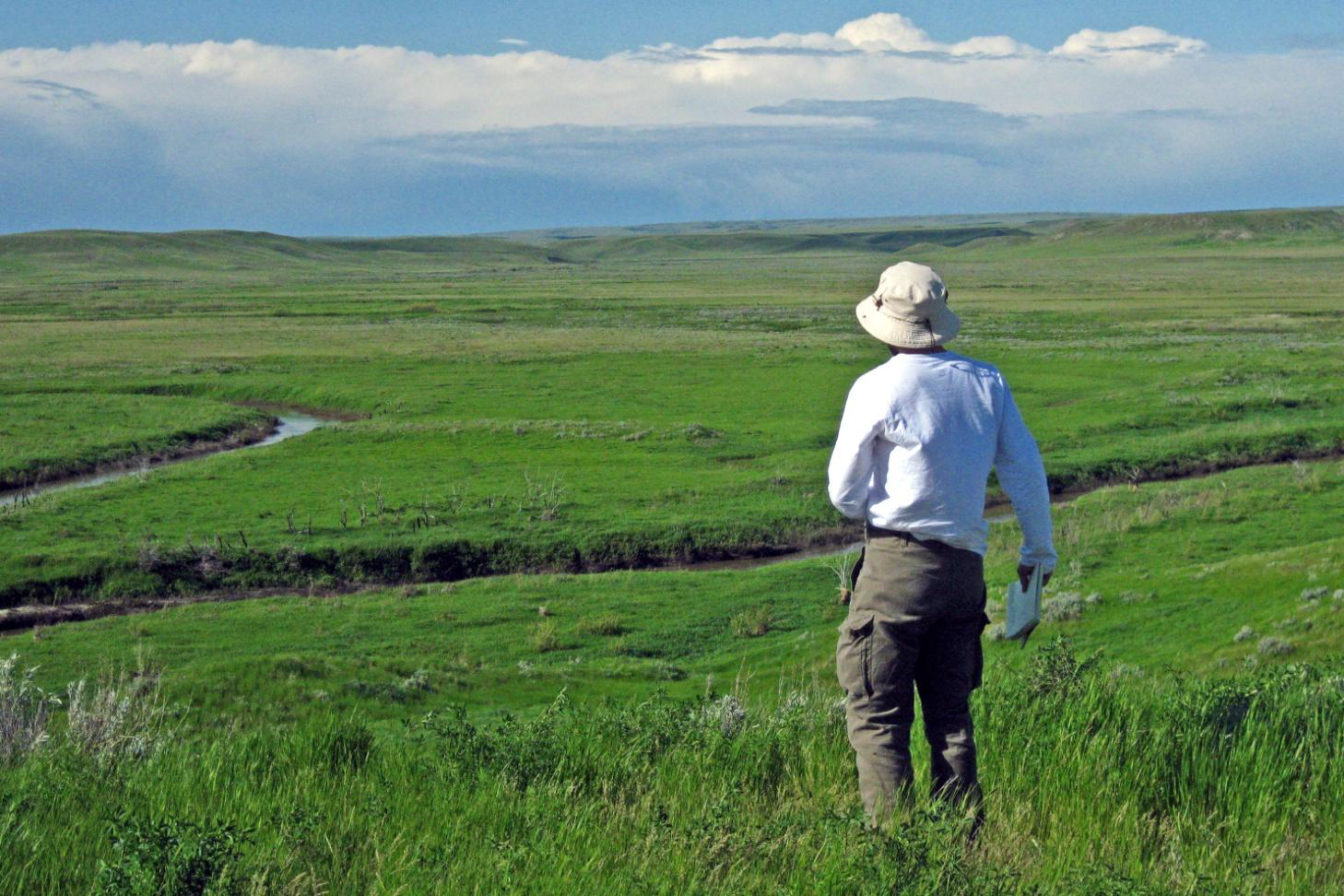Prairies Nature Ambience Sound Effects recordings