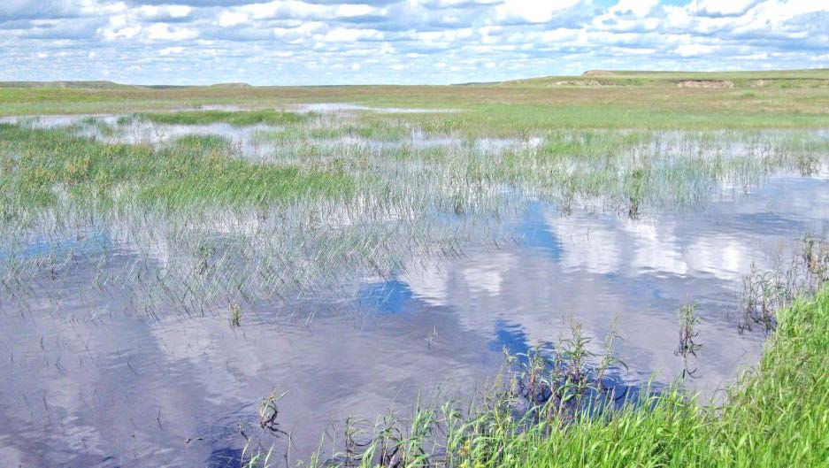 Prairies Nature Ambience Sound Effects recordings