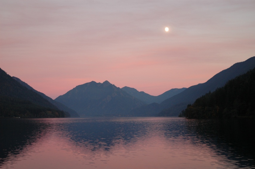 Quietudes Nature Ambience Sound Effects recordings