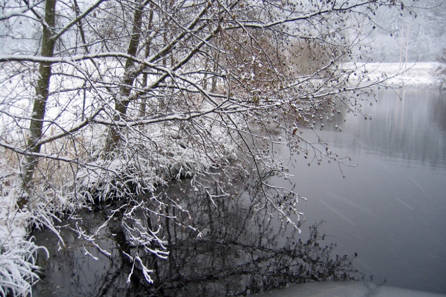 Quietudes Nature Ambience Sound Effects recordings