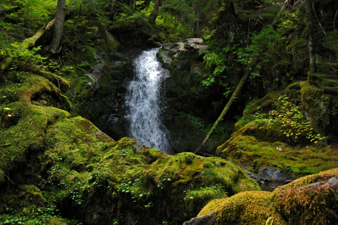Riparian Zones Nature Ambience Sound Effects Library recordings