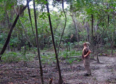 Tropical Forests Nature Ambience Sound Effects Library recordings Man in jungle