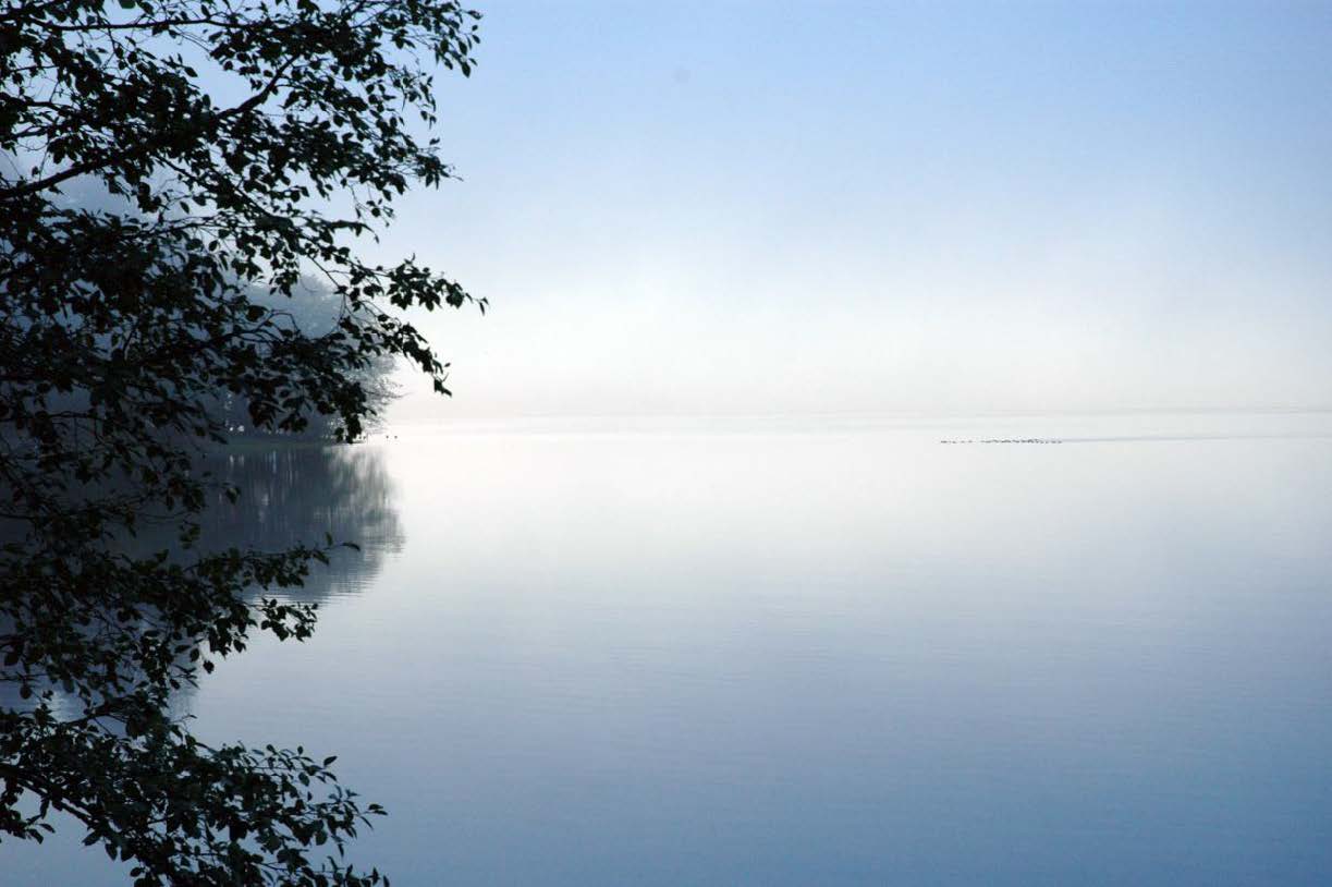 Wetlands Nature Ambience Sound Effects recordings