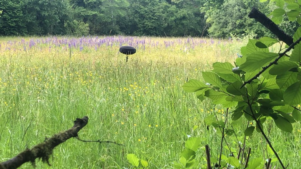 Schoeps ORTF in field