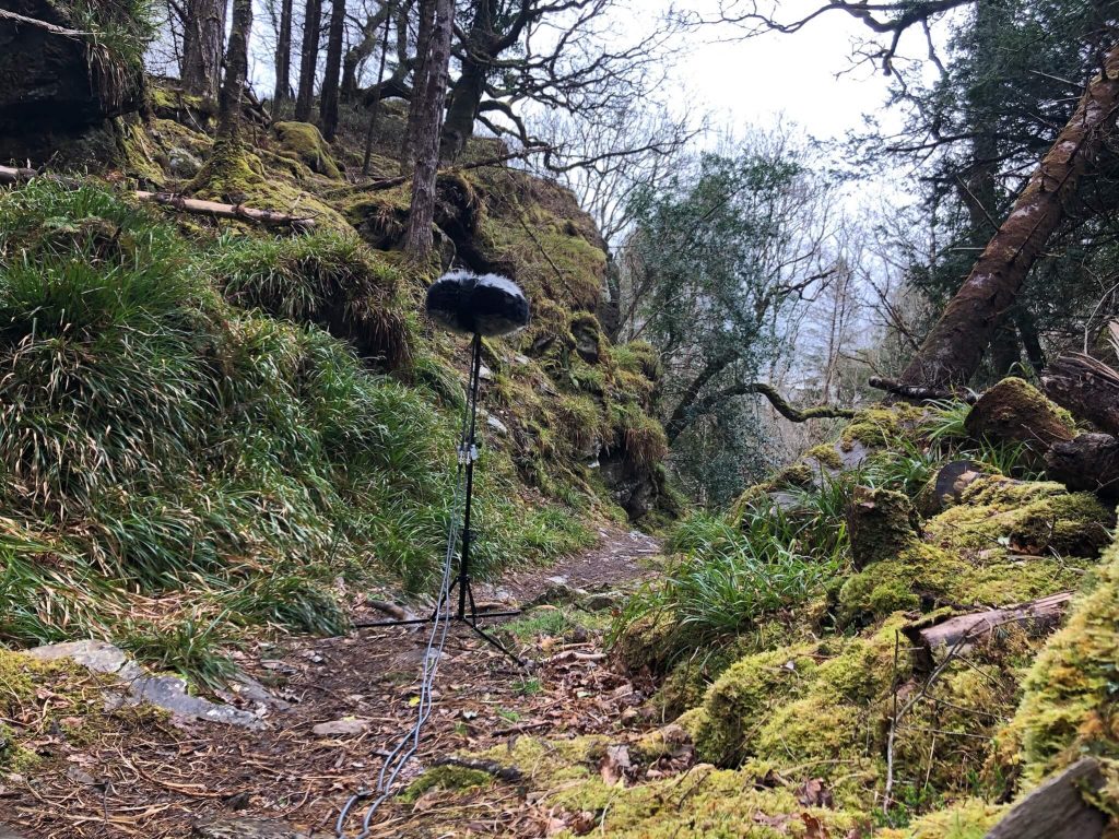 Schoeps ORTF on trail