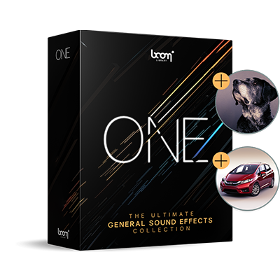BOOM ONE UPDATE: DOGS & CAR HANDLING