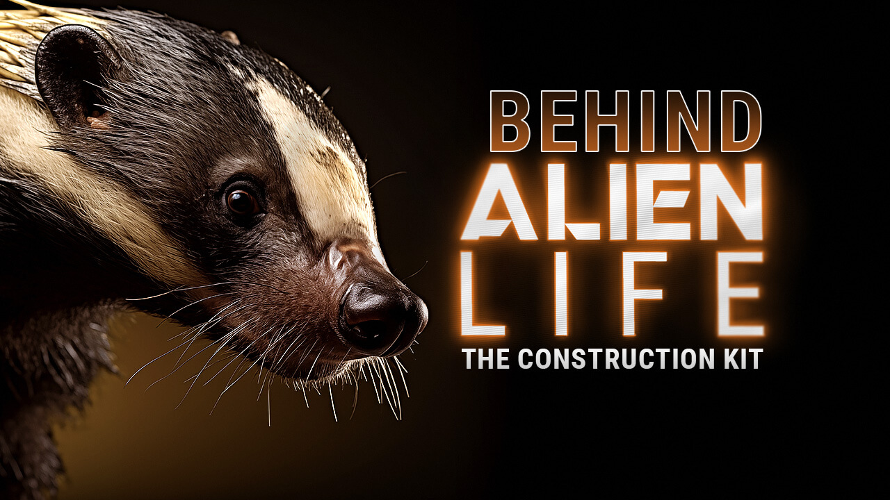 BOOM_AlienLife_Blog-Hero-CK