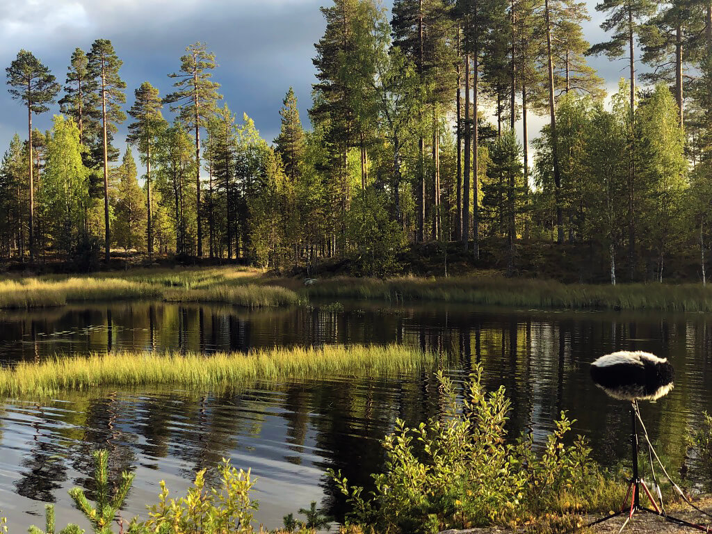 European_Summer_Documentary_ (2)