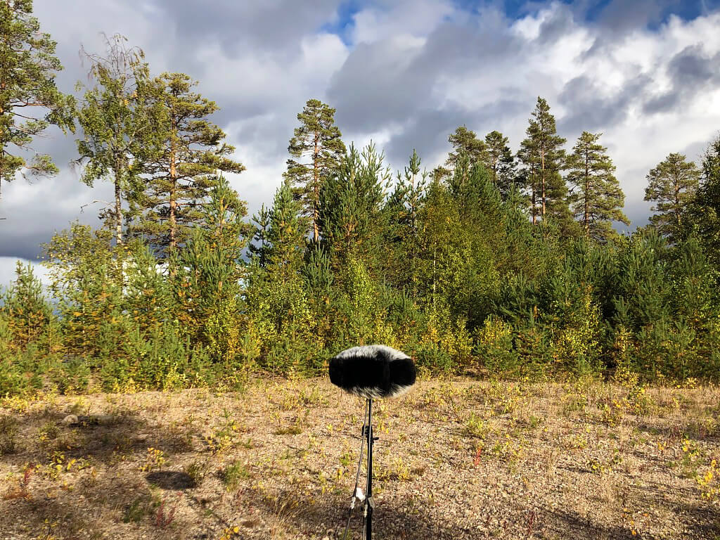 European_Summer_Documentary_ (6)