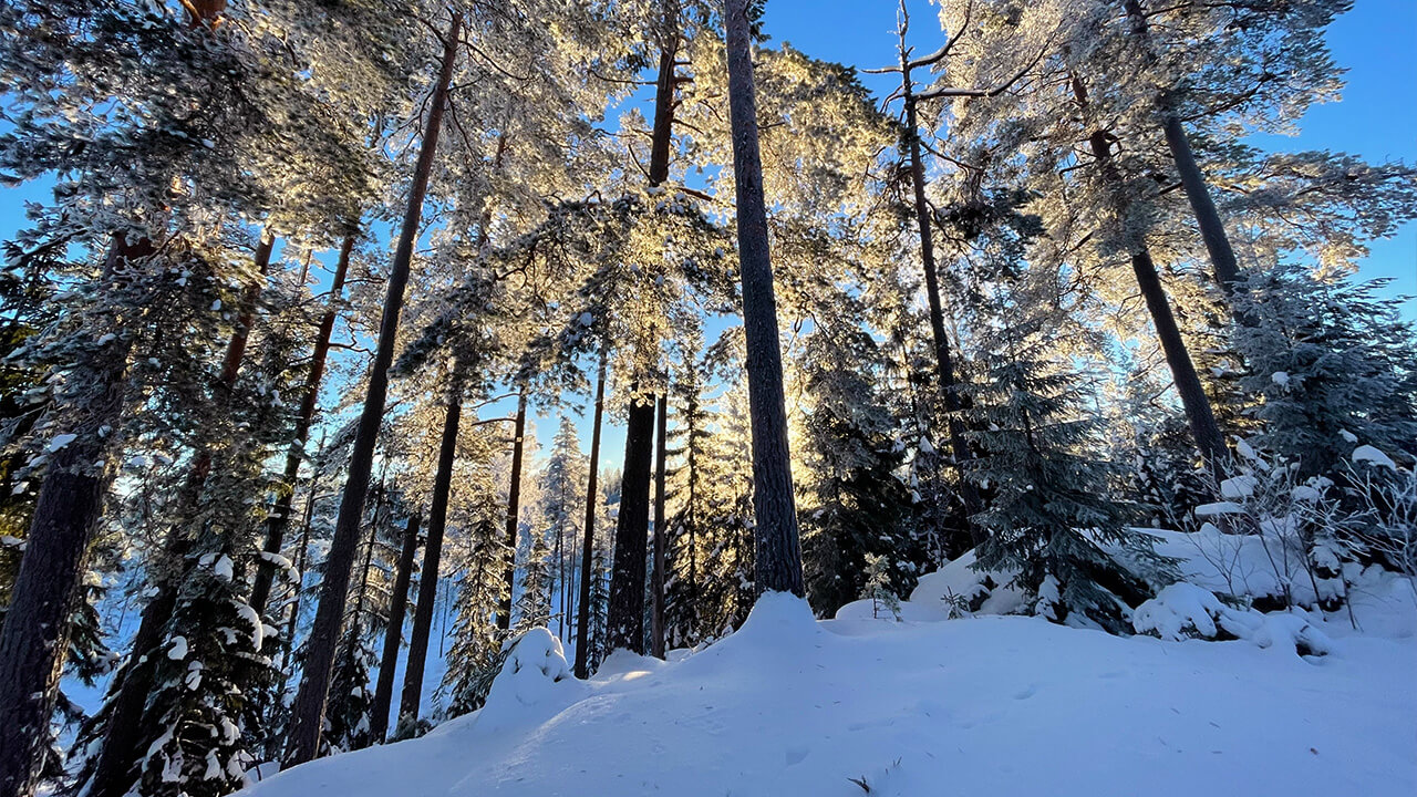 BOOM_SOEEuropeanWinter_BTS_horizontally_07