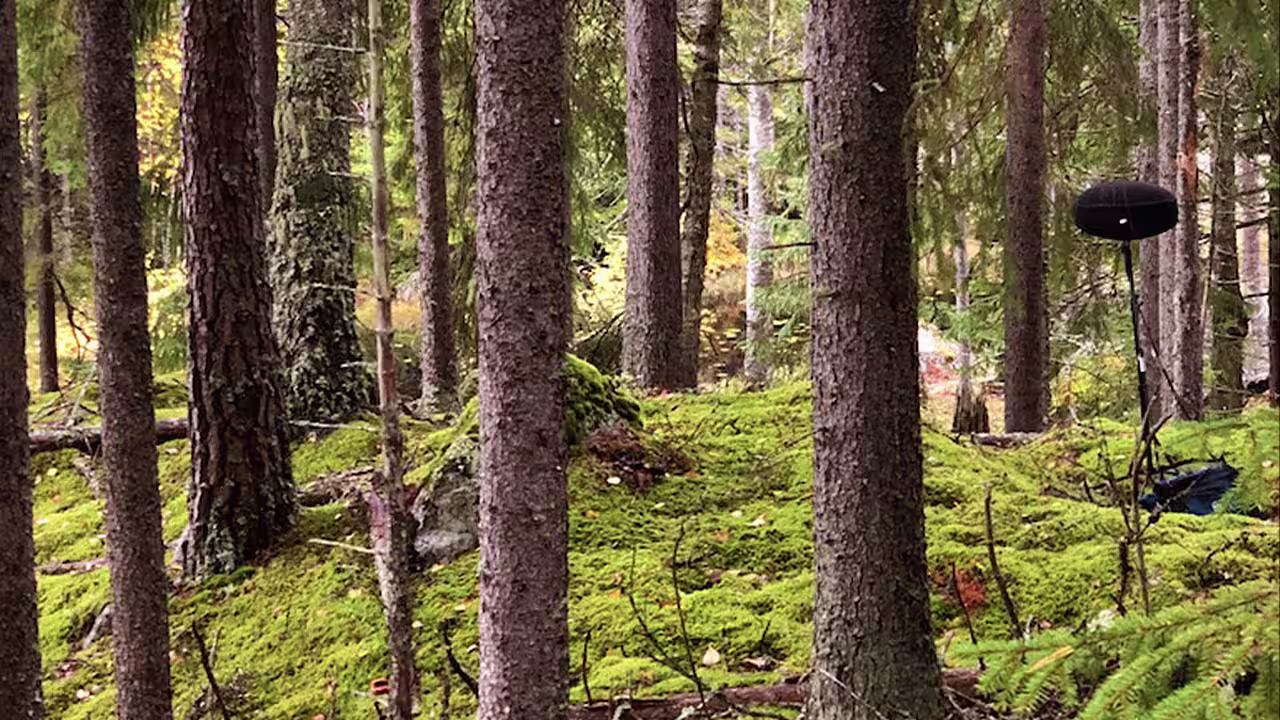 BOOM_SOEEuropeanAutumn_BTS_05