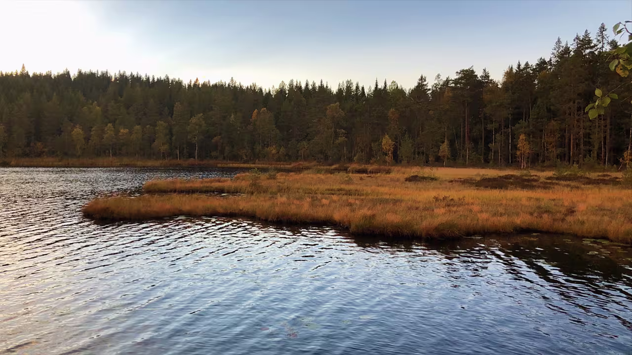 BOOM_SOEEuropeanAutumn_BTS_06